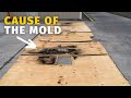 We traveled 3,000 miles to get a NEW RV ROOF and find out what had caused the MOLD.