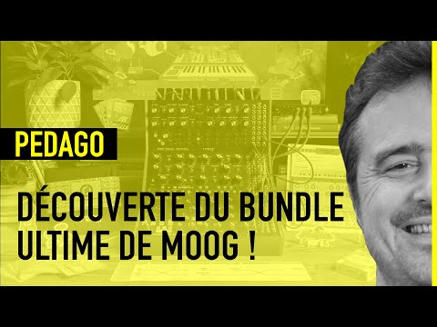 On découvre 3 synthés semi-modulaires de Moog !