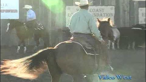 Mercuria Open Champ Dual R Smokin