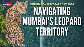 International Leopard Day 2024: Navigating Mumbai&#39;s Leopards&#39; Adventurous Trails
