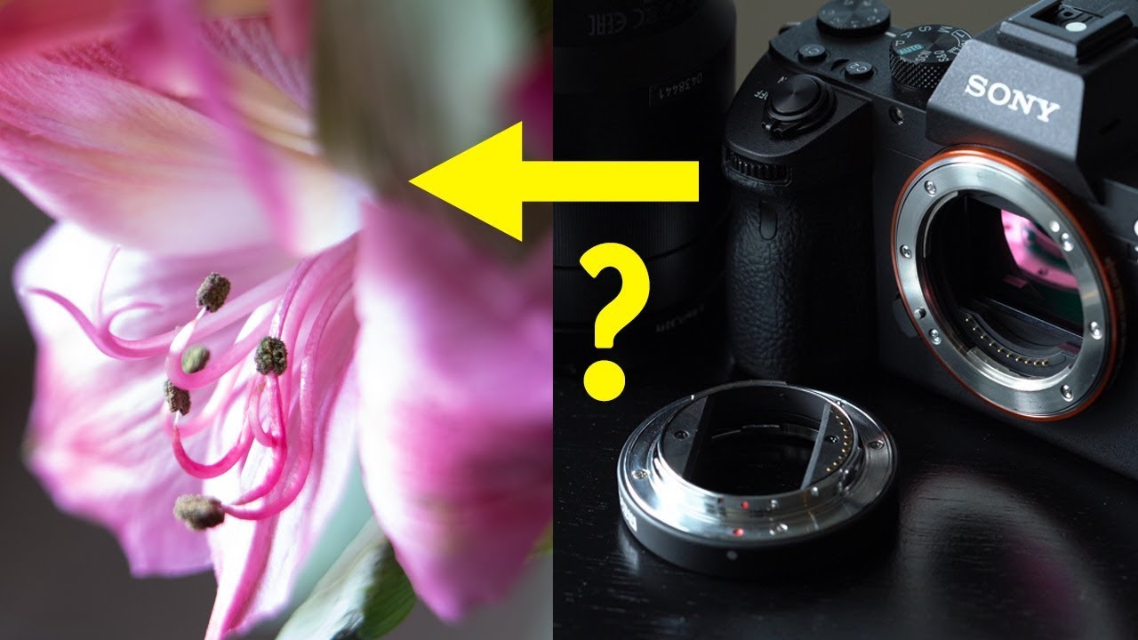 Cheap Macro Extension Tube Set - Does it Work? - YouTube