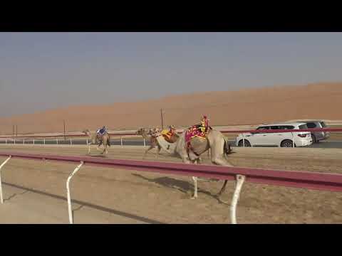 الشوط 14 الشبابي ل علي راشد سعيد خميس الساعدي توقيت 6 18 افضل توقيت