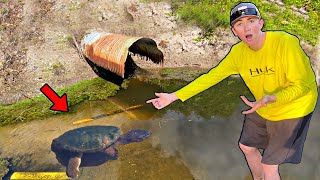 Catching *NEW* Pet Snapping Turtles! (HUGE BITE)
