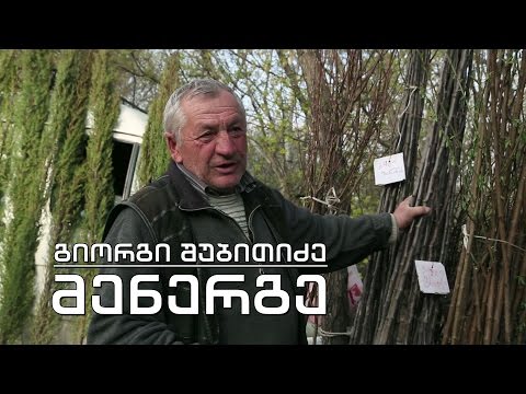 ეპოქის ფრაგმენტები - მენერგე გიორგი შუბითიძე