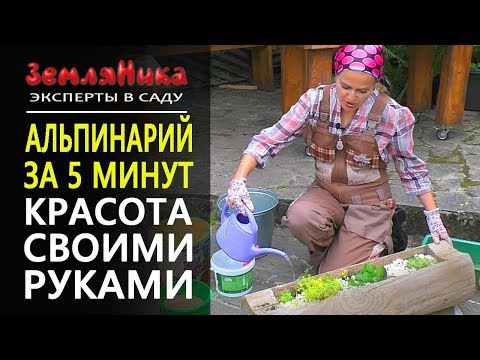 Альпинарий за 5 минут. Ландшафтный дизайн. Альпийская горка.