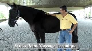 Stress Point Massage Technique - JP Hourdebaigt