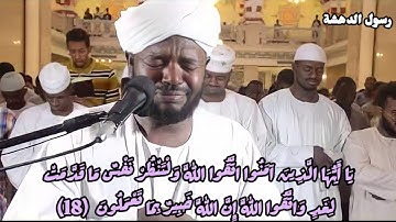 أواخر سورة الحشر لشيخ نورين محمد صديق