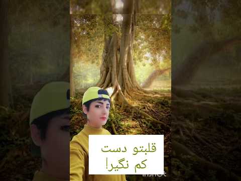 در نهایت جوانه می زنیم و سبز سبز می شویم