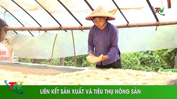 Liên kết sản xuất và tiêu thụ nông sản