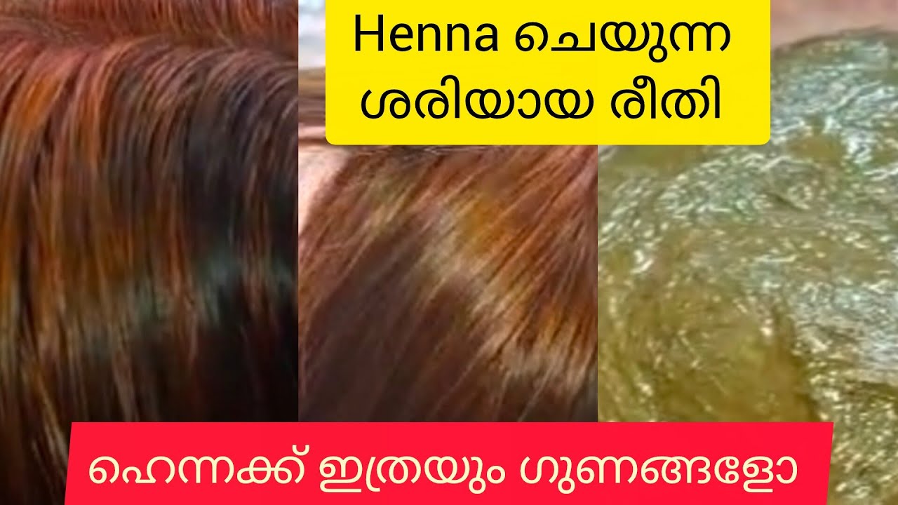 മുടി തഴച്ചു വളരാനും താരൻ പോവാനും നരച്ച മുടിക്ക് natural colour കിട്ടാനും ഹെന്ന ഇങ്ങനെ ചെയ്യൂ....