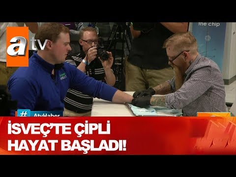 Video: Sıfırın altındaki hayattan çip neden hapse girdi?