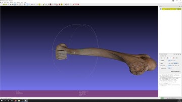 AnthroWorks3D - Cleanup und Retopo in Meshlab