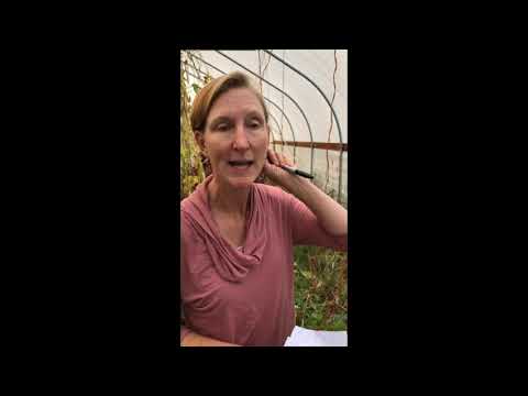 Video: Earliana Plant Info – Come coltivare una varietà di pomodoro 