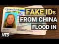 Fake IDs flood into US from China; Hollywood kowtows to China: report; More hurricanes to come