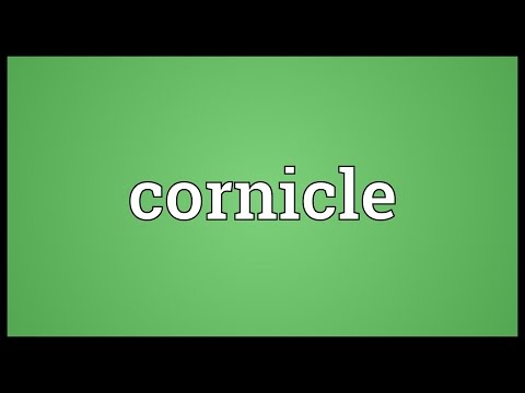 Header of cornicle