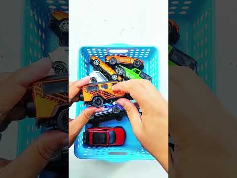 Amazing Collection of