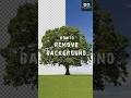 Remove Tree Backgrounds in Photoshop....! #digitalart #pencilsketch #photoshoptutorial