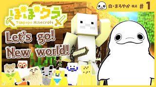 【Maincraft】いざ！ぽぽクラの世界へ！まろやか行きま～す！ #1 【#たんぽぽマイクラ】