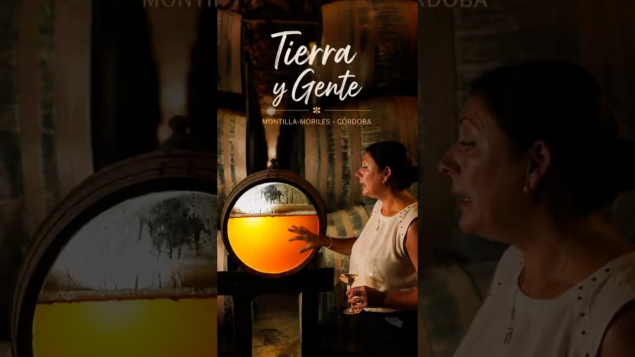 MONTILLA-MORILES 🍷 | Ruta por Córdoba entre bodegas, gastronomía y pueblos