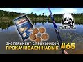 Русская рыбалка 4 #65 - Эксперимент с прикормкой. Прокачиваем навык