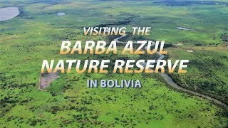 A Visit to Barba Azul Nature Reserve in Bolivia (2018 September)