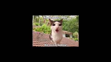 Thumbnail of Kiedy masz 7 lat vs 30 😂 #cats #śmieszne#greenscreen #cat #trend#memes#funny#memy #catmeme