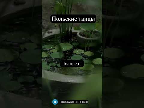 Польские танцы