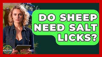 Do Sheep Need Salt Licks? - The World of Agriculture