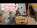 КАК ПРОХОДИТ МОЙ ДЕНЬ / от 3 лица