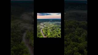I edit in cc so it’s small 😭 #amazon #rainforest #higuys #capcut