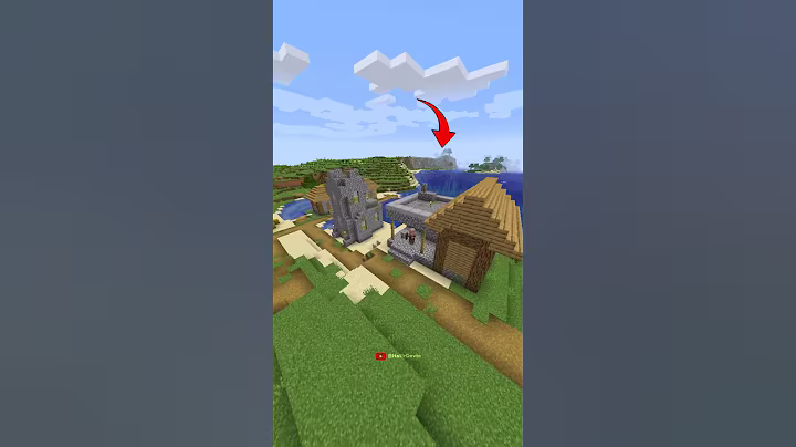 Rarest Blacksmith in Minecraft?!