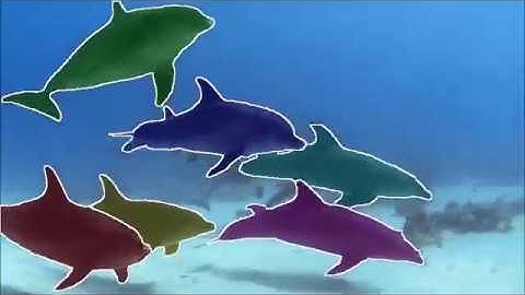 Context-based Instance Segmentation - DAVIS Challenge 2018