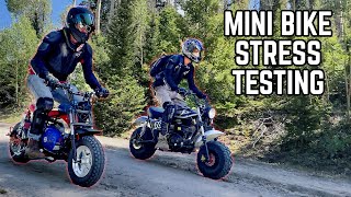 Mini Bikes vs. the Rockies | TrailMaster MB200 x Hurricane x Full Suspension Mega Moto Shootout!