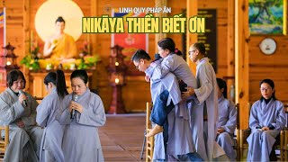 NIKAYA - Thiền Biết Ơn (17.1.2026)