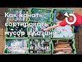 Раздельный сбор в Казани. Выпуск #1 С чего начать сортировку отходов.