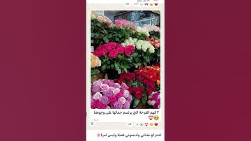 #حالات_واتس #تلاوة_مؤثرة #تلاوة_خاشعة #إسلام_صبحي