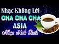 LK Cha Cha Cha ASIA Nhạc ANH QUỐC Cực CHILL