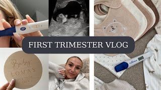 First Trimester Pregnancy Vlog | 312 Weeks | UK First Time Mum | Scans, Anxiety & Symptoms