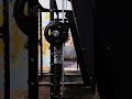 SQUATS😎🤙🏻😛#likeandsubscribe #gymlife #newreel #trendingshorts #shortvideo