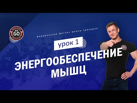 Энергообеспечение мышц - урок 1 (Типы мышц, АТФ и источники его ресинтеза)