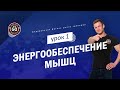 Энергообеспечение мышц - урок 1 (Типы мышц, АТФ и источники его ресинтеза)