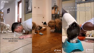 Act like your dogs at dinner time and record their reaction | TikTok
