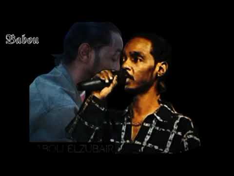 محمـــــود عبـــد العــــــــزيــز الأمان