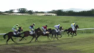 Vidéo de la course PMU PRIX YVES SAINT-MARTIN