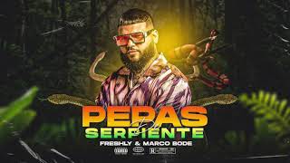 Pepas De Serpiente (Dj Freshly X Marco Bode Aleatoso Mix ) #Tribal #Guaracha