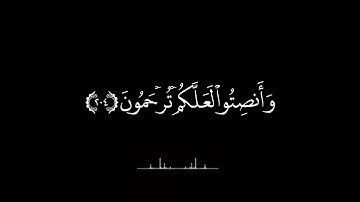 كروما القران الكريم شاشة سوداء | تلاوة مؤثرة  | بصوت الشيخ ماهر المعيقلي | بدون حقوق