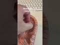 Massage This Acupuncture Point To Reduce Stress Earseeds Stressrelief S Massage This Acupuncture Point To Reduce Stress Earseeds Stressrelief S
