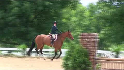 Video of VIVENDI BOY ridden by TERRI BOURGEOIS fro...