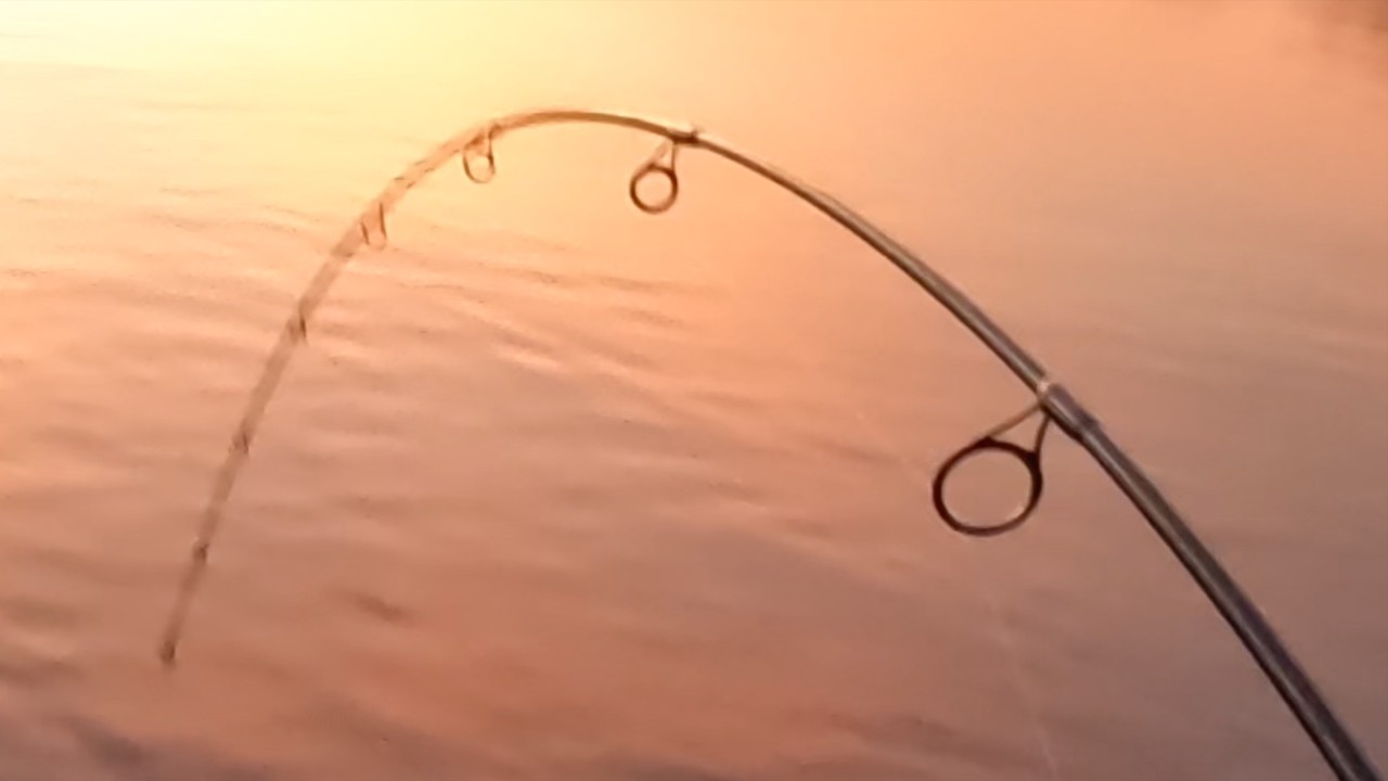 Fishing The Circus On The Dead Stick