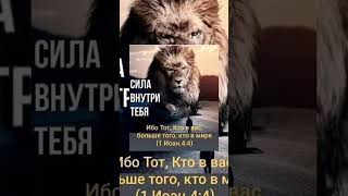 Дети! вы от Бога, и победили их; ибо Тот, Кто в вас, больше того, кто в мире.1-е послание Иоанна 4:4